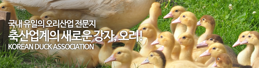 한국오리협회